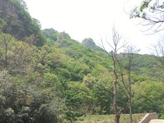 -招虎山国家森林公园-售票处