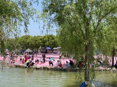 -上海杨姆庄园