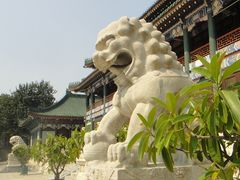 -国家图书馆·古籍馆