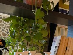 -俄士厨房(未来城店)