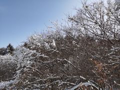-秦岭风景区