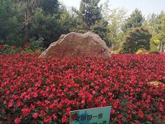 -长白岛森林公园