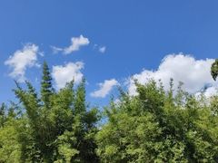 -上海市龙华烈士陵园