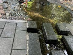 -成都市活水公园