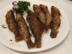 -稻香酒家·33年老字号·港式粤菜(富邦中心店)