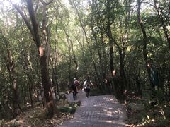 -紫金山山顶公园