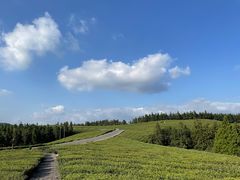 -东钱湖旅游度假区