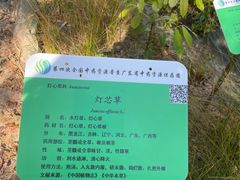 -广东中医药博物馆