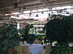 -红栌温泉山庄生态美食餐厅