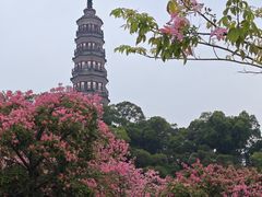 -顺峰山公园