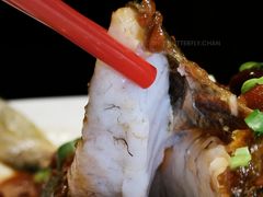 -红棉中餐厅·广州海航威斯汀酒店