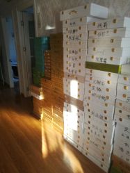 -苗方清颜专业祛痘连锁机构