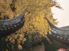 -檀园
