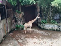 -长鹿旅游休博园