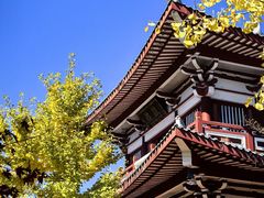 -莆田南少林寺
