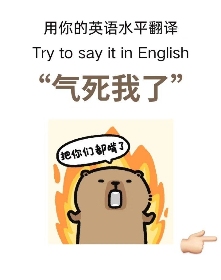 气死我了"英文怎么说