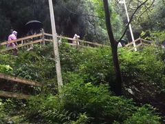 -娄山关景区