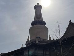 -张掖大佛寺景区