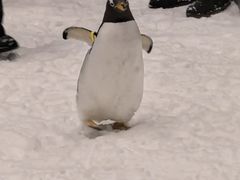 -长沙湘江欢乐雪域