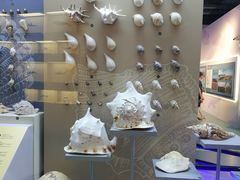 -上海中国航海博物馆