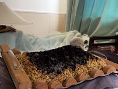 -世医堂推拿艾灸(淮海路店)