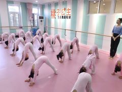 -桃子公主舞蹈培训(万柳校区)
