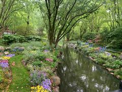 -上海共青森林公园