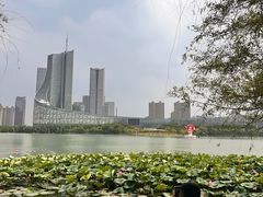 -天鹅湖体育公园