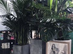 -甲乙果 美术书法(通州校区)