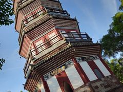 -顺峰山公园