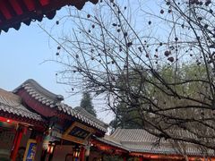 -白家大院·王府宫廷菜(苏州街店)