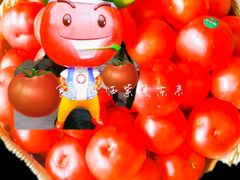 -蕃茄述·好汤自然来(江汉路店)