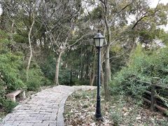 -苏州上方山国家森林公园