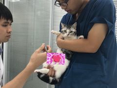 -美美宠物诊疗中心·异宠·骨科(滨江东信分院)