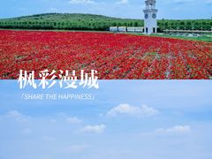 -南京枫彩漫城