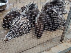 -武汉紫薇都市田园