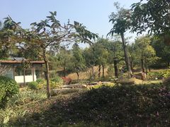 -中国移动南方基地