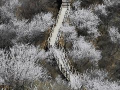 -大岭沟猕猴桃谷风景区