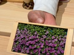 -鹤菊·鮨Omakase(古子城店)