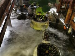 -三只耳火锅(宽窄巷子店)