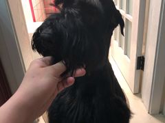 -唯美宠物生活馆(绿地国际生态城店)