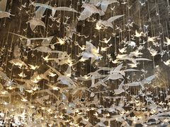 -海鲜码头·中国菜