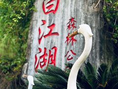 -广州白江湖森林公园