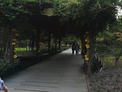 -白马涧龙池景区