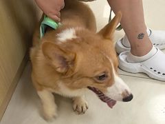 -美联众合动物医院·24h京西诊疗中心