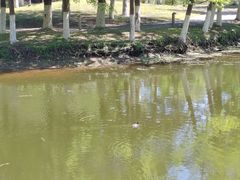 -长白岛森林公园