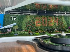 -广州白云国际机场-T2航站楼