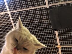 -小时光咖啡馆(开森度假森林店)