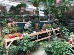 -龙大花卉苗木市场