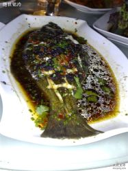 20081011813-上海浦东喜来登由由大酒店·宴会厅